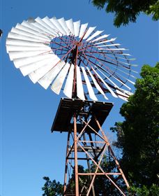Barcaldine Windmill - Darwin Holiday 1