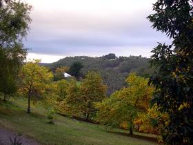 Nirvana Organic Produce And Farm - Darwin Holiday 2