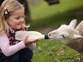 Hahndorf Farm Barn - Darwin Holiday 0