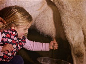 Hahndorf Farm Barn - Darwin Holiday 1