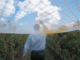 Mr. Riggs - Darwin Holiday 2