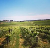 Adelaide Winemakers - Darwin Holiday