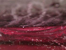 Adelaide Winemakers - Darwin Holiday 2