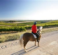 Kidman Trail - Darwin Holiday