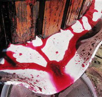 Cradle of Hills McLaren Vale Winery - Darwin Holiday