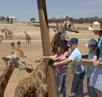 Monarto Open Range Zoo - Darwin Holiday