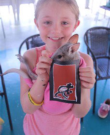 Top Didj Cultural Experience & Art Gallery - Darwin Holiday 2