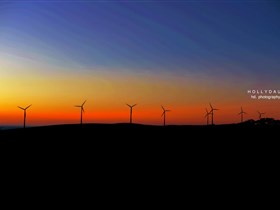 Starfish Hill Windfarm - Darwin Holiday 0