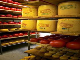 Alexandrina Cheese Company - Darwin Holiday 0