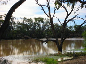 Allan Tannock Weir - Darwin Holiday 3