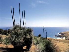 Deep Creek Conservation Park - Darwin Holiday 2