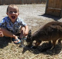 Animal Farm Goolwa - Darwin Holiday
