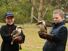Raptor Domain - Darwin Holiday 2