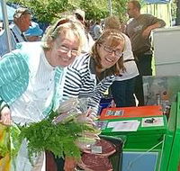 Victor Harbor Farmers Market - Darwin Holiday