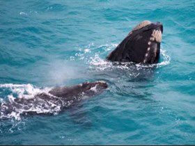 Tourist Drive Route 50 - Darwin Holiday 1