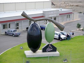 The Big Olive - Darwin Holiday 0