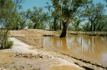 Charleville - Ward River Fishing Spot - Darwin Holiday 2