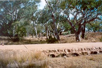 Charleville - Ward River Fishing Spot - Darwin Holiday 1