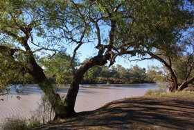 Charleville - Bakers Bend Warrego River Fishing Spot - Darwin Holiday 1