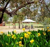 Charleville - Graham Andrews Parklands - Darwin Holiday