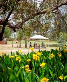 Charleville - Graham Andrews Parklands - Darwin Holiday 0