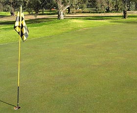 Wentworth Sporting Complex - Darwin Holiday 0