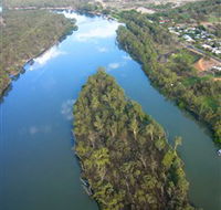 Sturt's Tree - Darwin Holiday