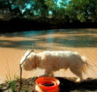 Charleville - 27 Mile Warrego River Fishing Spot - Darwin Holiday