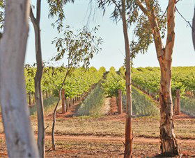 Trentham Estate Winery - Darwin Holiday 4