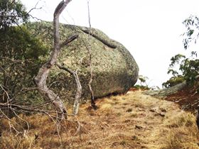 Mount Boothby Conservation Park - Darwin Holiday 2