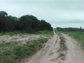 Messent Conservation Park - Darwin Holiday 1