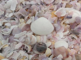 42 Mile Crossing - Darwin Holiday 2