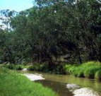 Salvator Rosa Section - Carnarvon National Park - Darwin Holiday