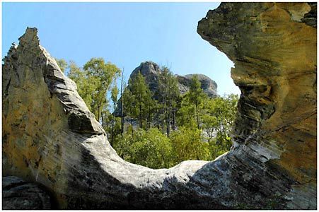 Salvator Rosa Section - Carnarvon National Park - Darwin Holiday 1