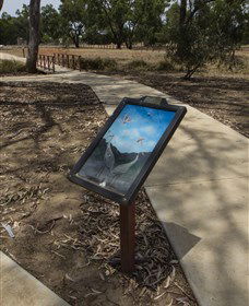 Wallam Creek, Bollon - Darwin Holiday 1