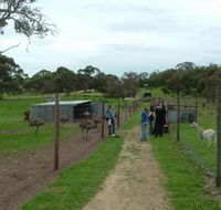 Avenue Emus - Darwin Holiday