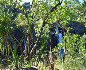 Manngarre Rainforest Walk - Darwin Holiday 1