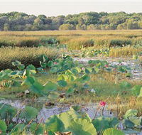 Fogg Dam Conservation Reserve - Darwin Holiday