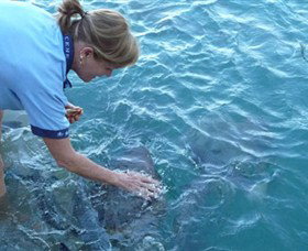 Aquascene - Darwin Holiday 2