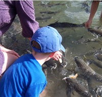 Aquascene - Darwin Holiday