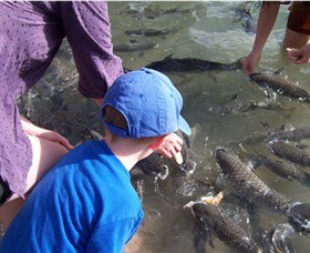 Aquascene - Darwin Holiday 0