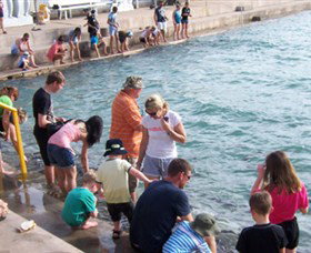 Aquascene - Darwin Holiday 3