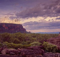 Nature's Way - Darwin Holiday