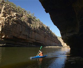 Nature's Way - Darwin Holiday 2