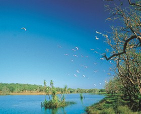 Nature's Way - Darwin Holiday 5