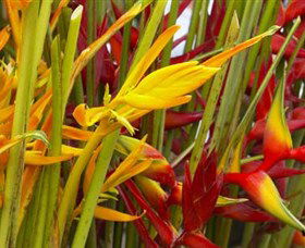 Parap Markets - Darwin Holiday 1