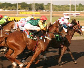 Darwin Turf Club - Darwin Holiday 1
