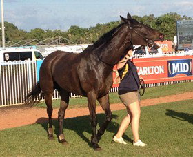 Darwin Turf Club - Darwin Holiday 2