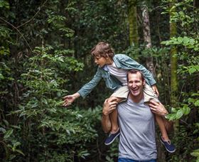 Paluma And Crystal Creek Rainforest - Darwin Holiday 1