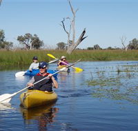 Marsh Meanders - Darwin Holiday